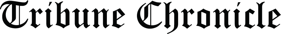 website logo